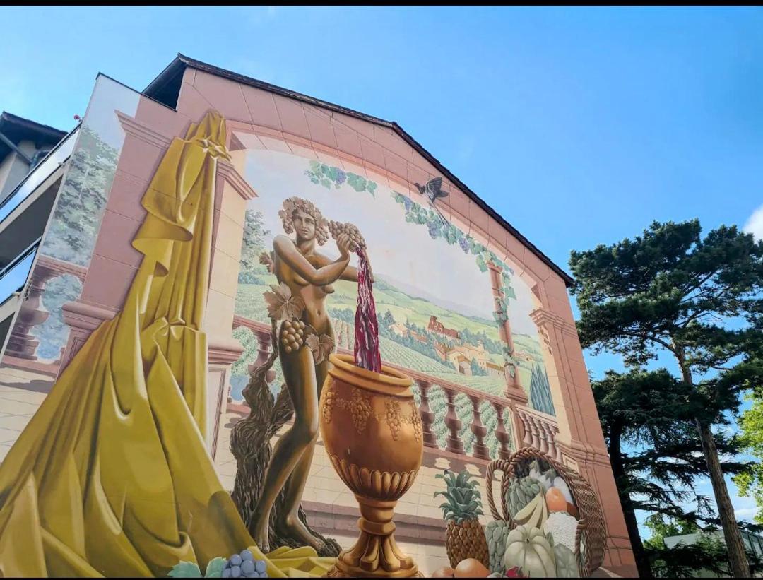 Ravissant Appartement T2 Proche Autoroute Et Centre-Ville Villefranche-sur-Saône المظهر الخارجي الصورة