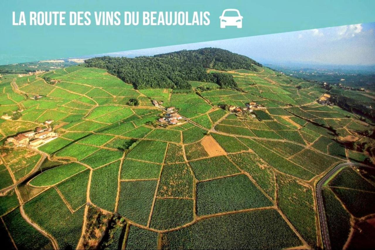 Ravissant Appartement T2 Proche Autoroute Et Centre-Ville Villefranche-sur-Saône المظهر الخارجي الصورة