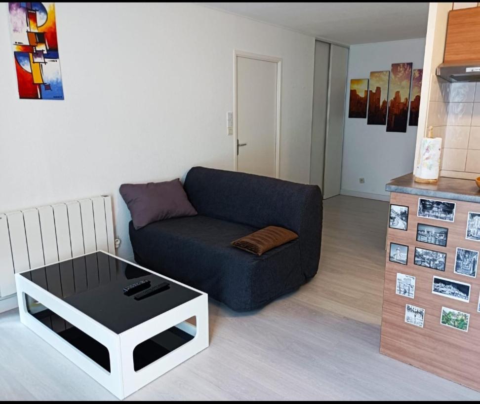 Ravissant Appartement T2 Proche Autoroute Et Centre-Ville Villefranche-sur-Saône المظهر الخارجي الصورة